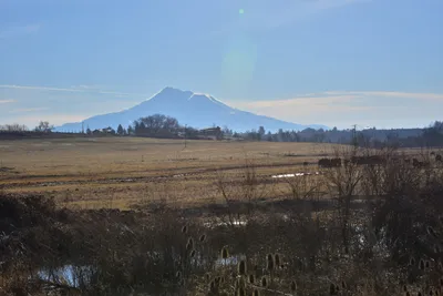 DSC_6030 (Large).JPG